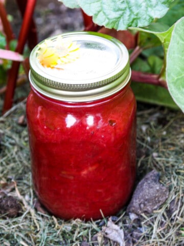 A jar of rhubarb jam sitting in a rhubarb patch.