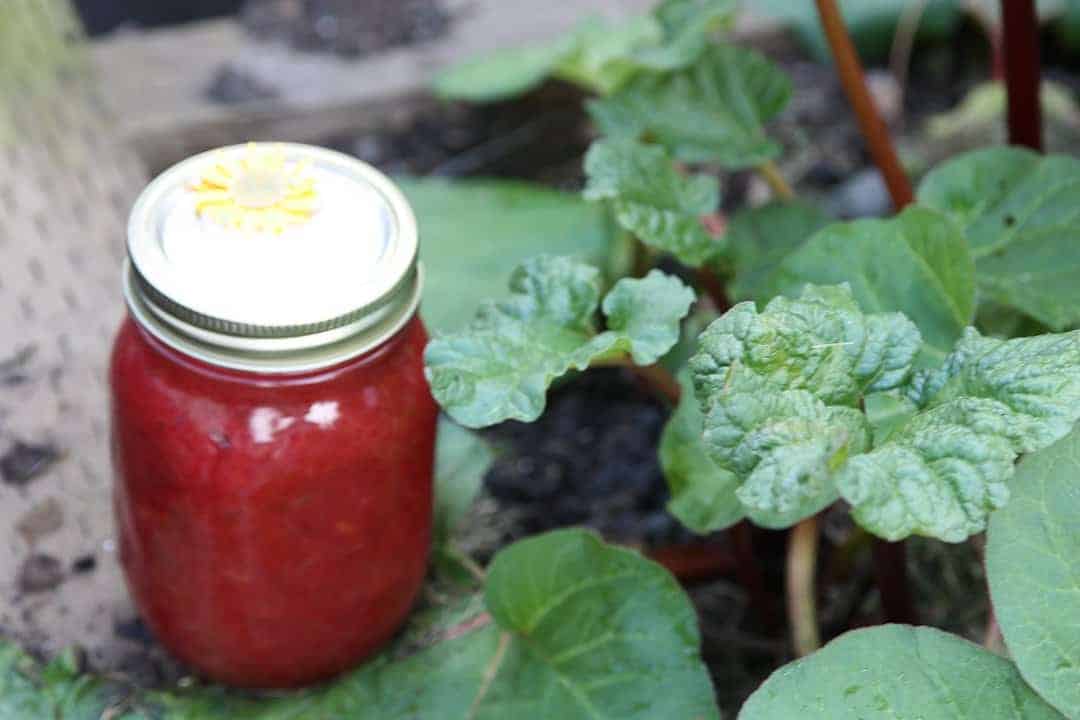 A jar of jam sitting in a rhubarb patch