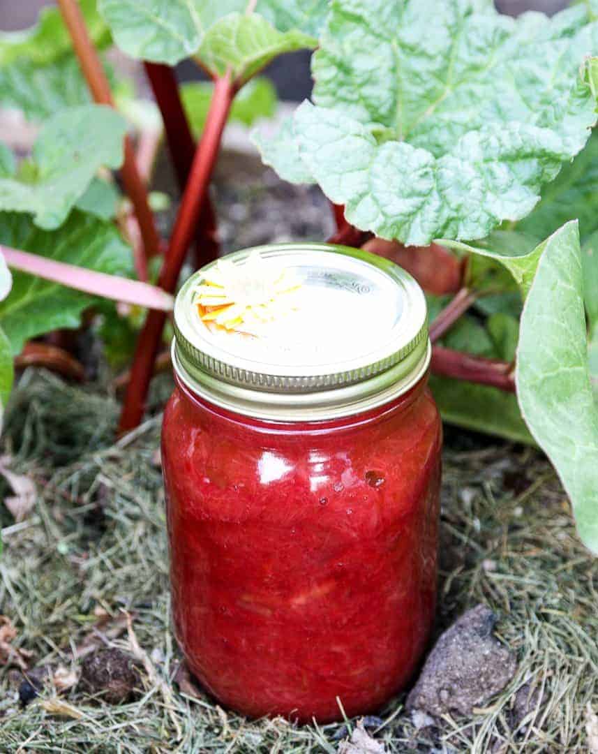 A jar of jam in a garden