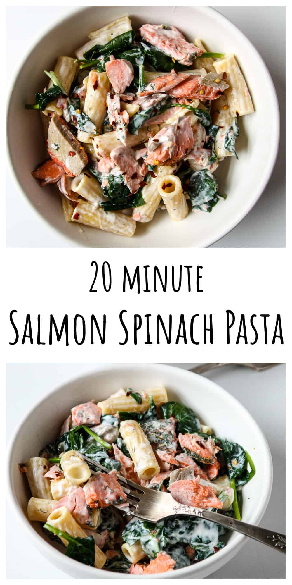 Salmon Spinach Pasta- Salmon Pasta Recipe | The Food Blog