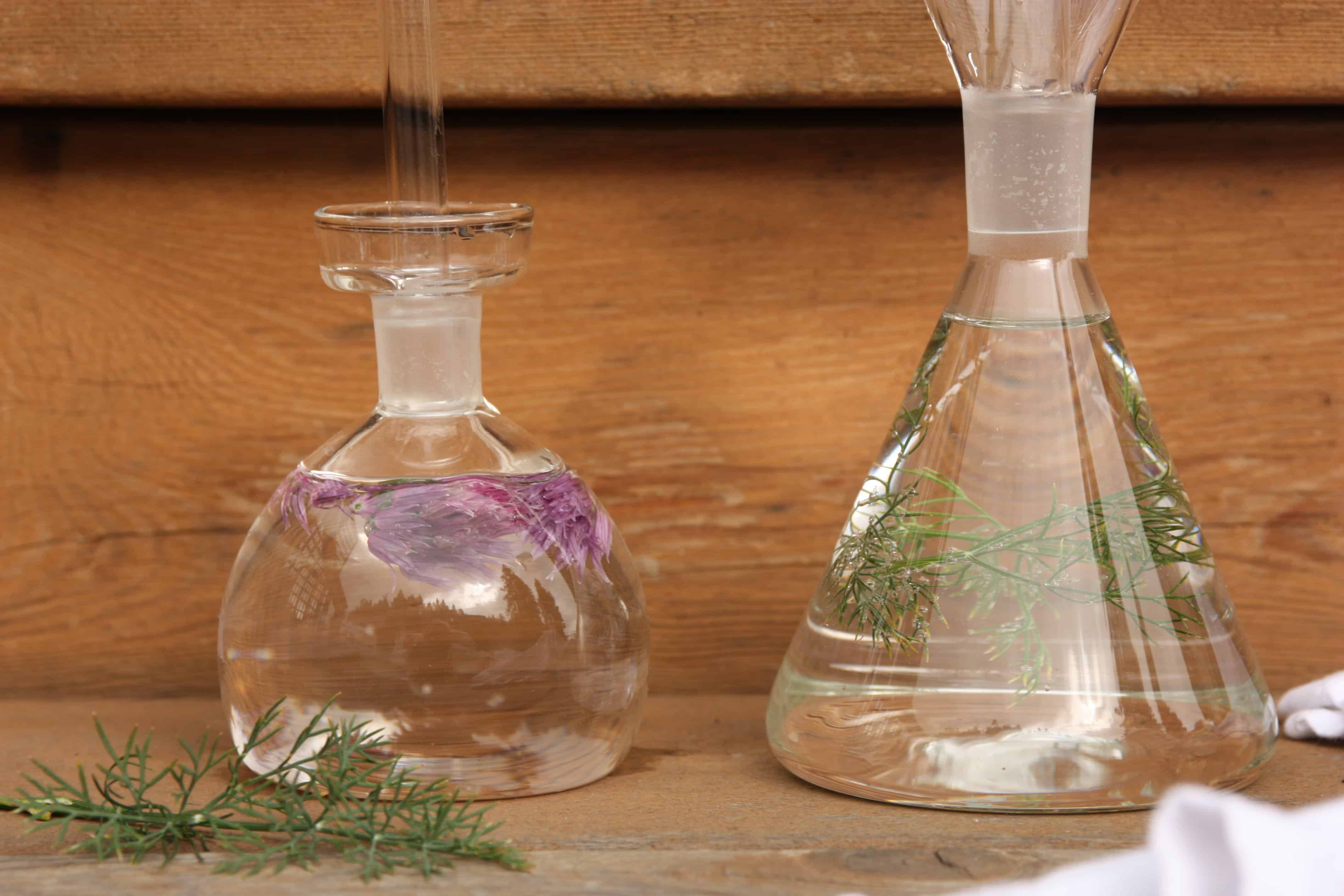 Two glass bottles filled with herb vinegar