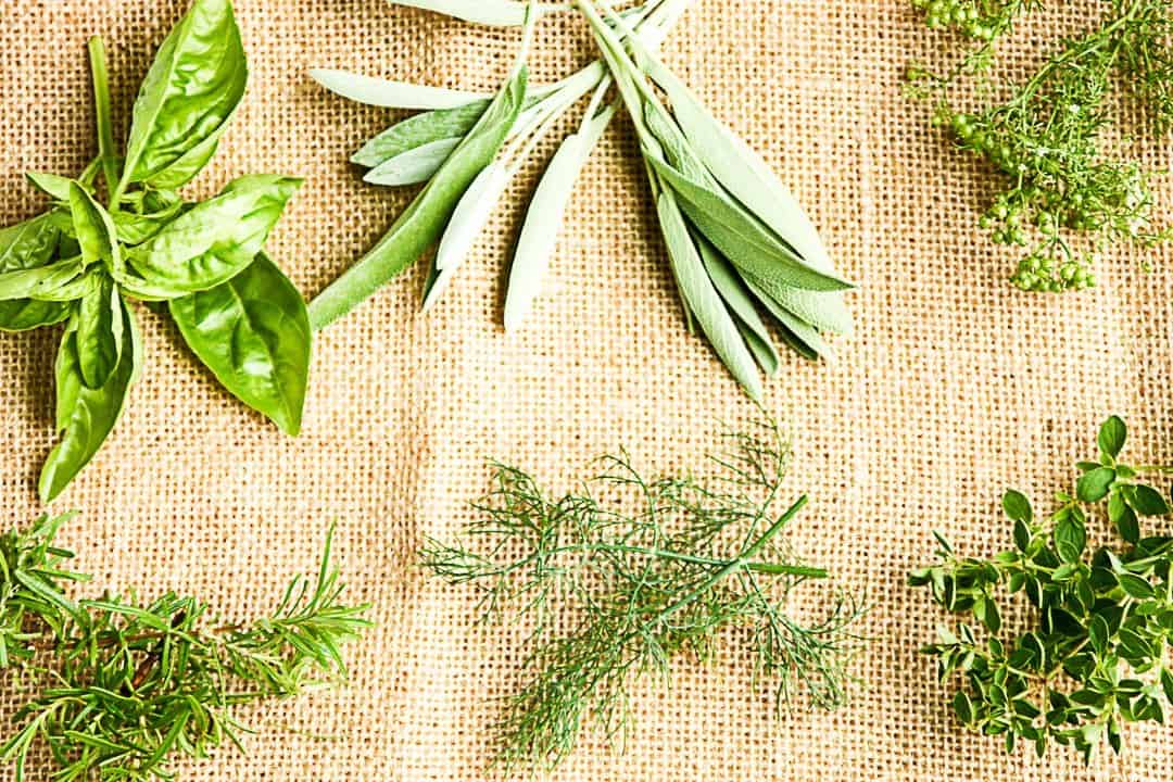 Fresh Garden Herbs