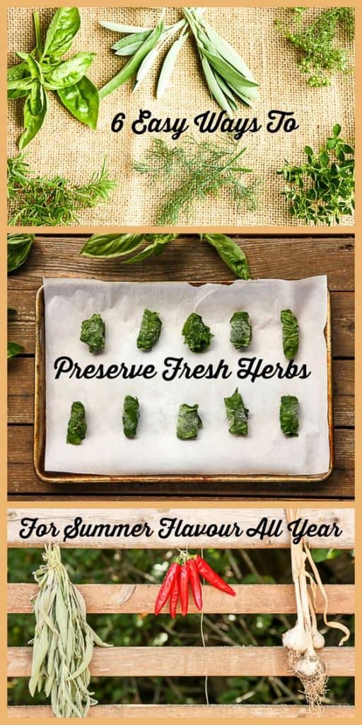 Preserving Fresh Herbs - 6 Easy Ways - The Food Blog