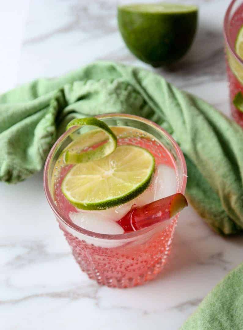 Rhubarb Gin & Tonic