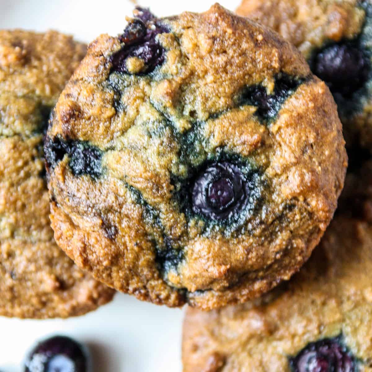 An almond flour blueberry muffin.